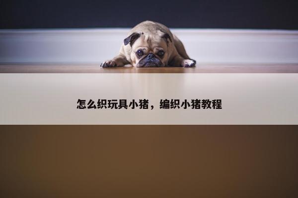 怎么织玩具小猪，编织小猪教程