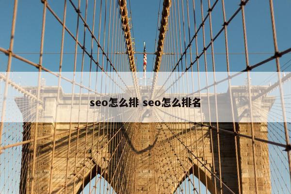 seo怎么排 seo怎么排名