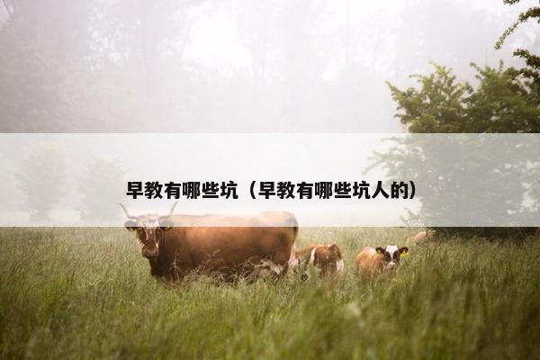 早教有哪些坑（早教有哪些坑人的）