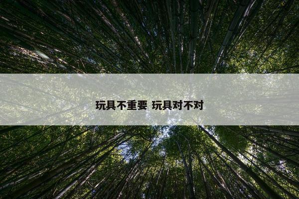 玩具不重要 玩具对不对