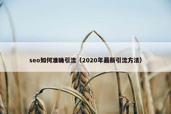 seo如何准确引流（2020年最新引流方法）