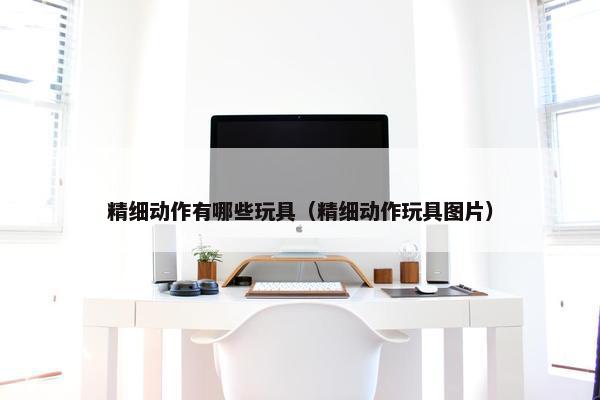 精细动作有哪些玩具（精细动作玩具图片）