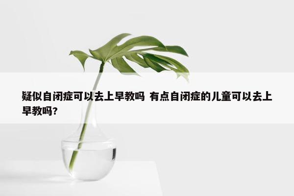 疑似自闭症可以去上早教吗 有点自闭症的儿童可以去上早教吗?