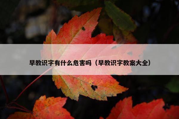 早教识字有什么危害吗（早教识字教案大全）