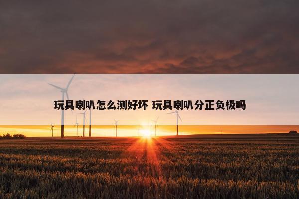 玩具喇叭怎么测好坏 玩具喇叭分正负极吗