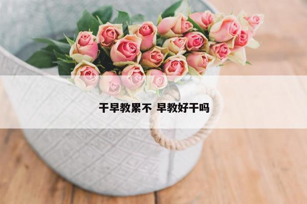 干早教累不 早教好干吗