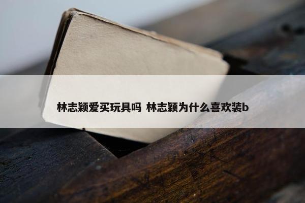 林志颖爱买玩具吗 林志颖为什么喜欢装b