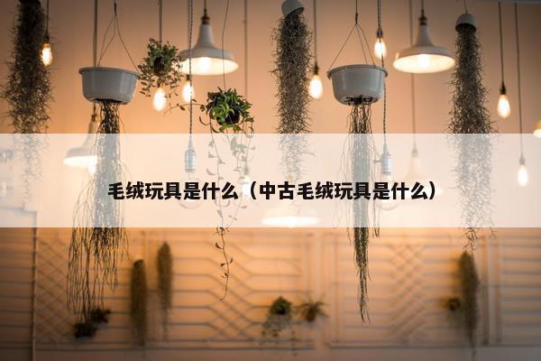 毛绒玩具是什么（中古毛绒玩具是什么）