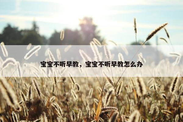 宝宝不听早教，宝宝不听早教怎么办