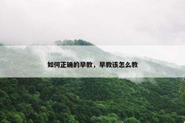 如何正确的早教，早教该怎么教