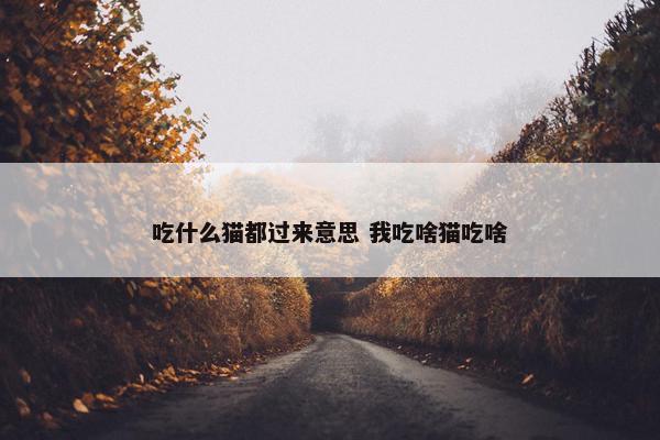 吃什么猫都过来意思 我吃啥猫吃啥