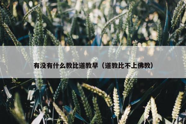 有没有什么教比道教早（道教比不上佛教）