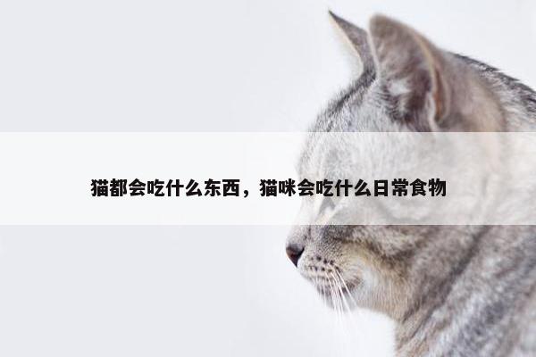 猫都会吃什么东西，猫咪会吃什么日常食物