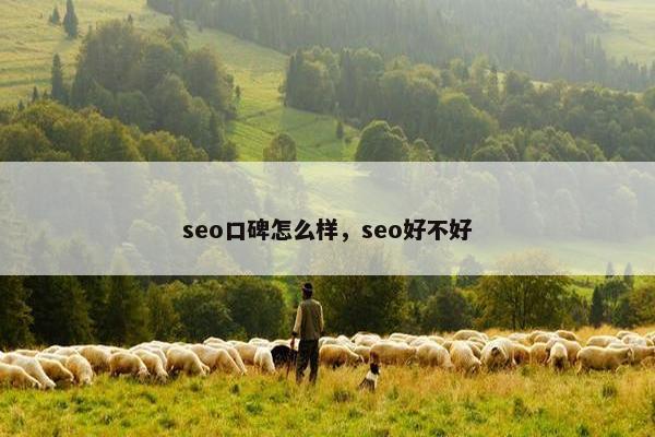 seo口碑怎么样，seo好不好