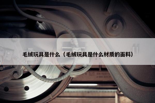 毛绒玩具是什么（毛绒玩具是什么材质的面料）