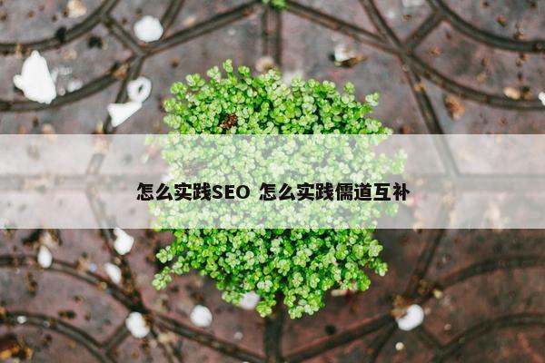 怎么实践SEO 怎么实践儒道互补