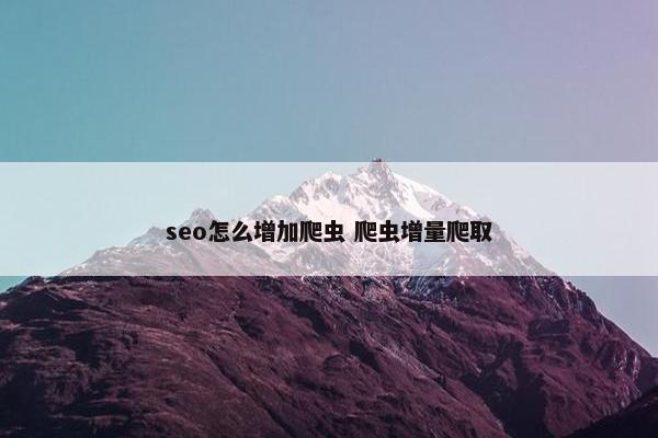 seo怎么增加爬虫 爬虫增量爬取