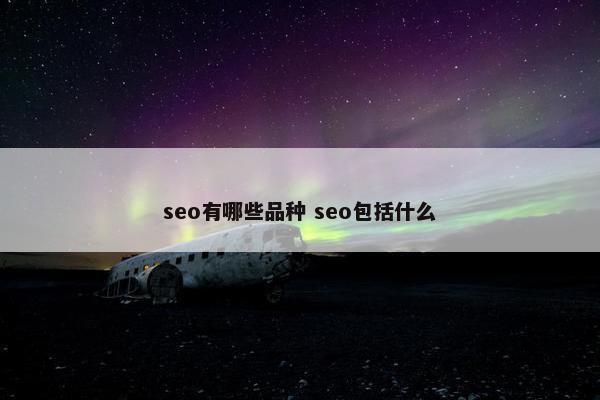 seo有哪些品种 seo包括什么