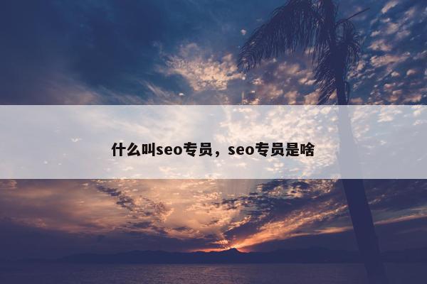 什么叫seo专员，seo专员是啥