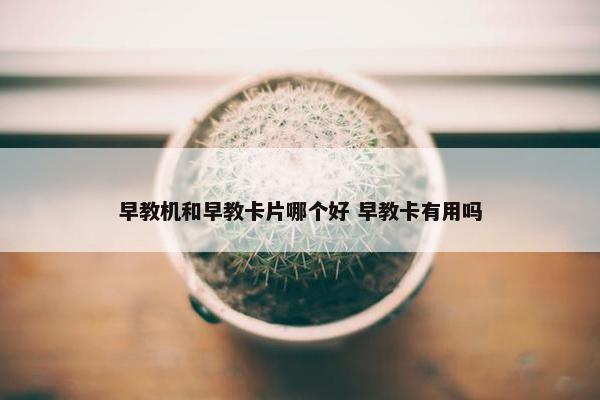 早教机和早教卡片哪个好 早教卡有用吗