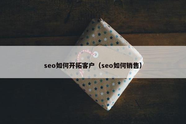 seo如何开拓客户（seo如何销售）