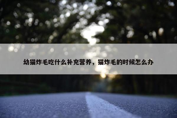 幼猫炸毛吃什么补充营养，猫炸毛的时候怎么办