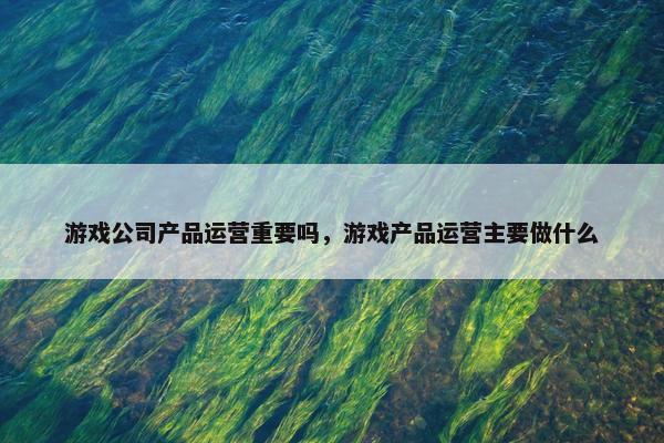 游戏公司产品运营重要吗，游戏产品运营主要做什么