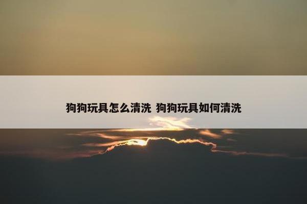 狗狗玩具怎么清洗 狗狗玩具如何清洗