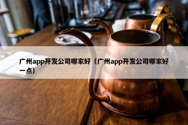 广州app开发公司哪家好（广州app开发公司哪家好一点）