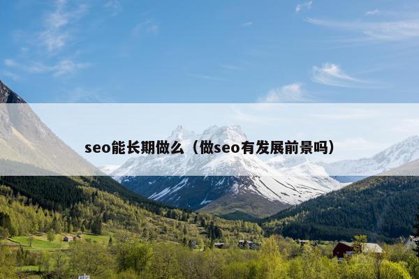 seo能长期做么（做seo有发展前景吗）