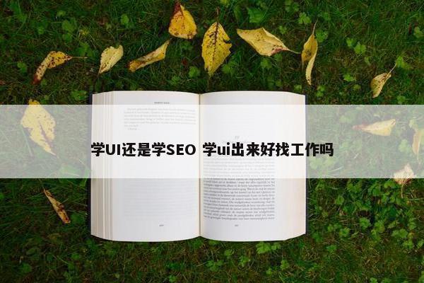 学UI还是学SEO 学ui出来好找工作吗