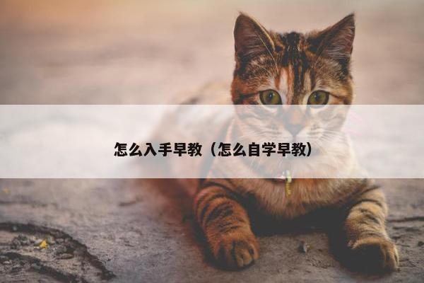 怎么入手早教（怎么自学早教）