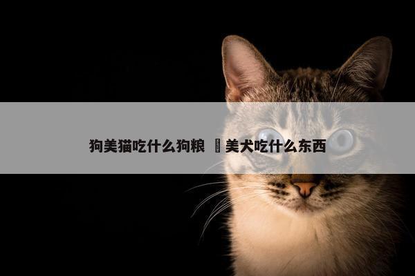 狗美猫吃什么狗粮 慱美犬吃什么东西