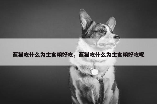 蓝猫吃什么为主食粮好吃，蓝猫吃什么为主食粮好吃呢