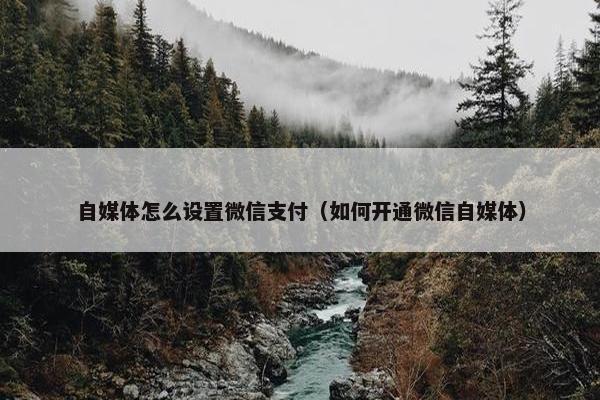 自媒体怎么设置微信支付（如何开通微信自媒体）