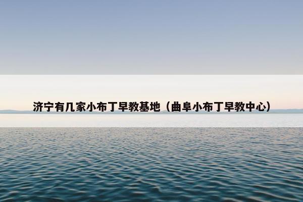 济宁有几家小布丁早教基地（曲阜小布丁早教中心）