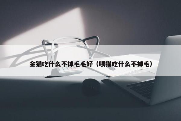 金猫吃什么不掉毛毛好（喂猫吃什么不掉毛）