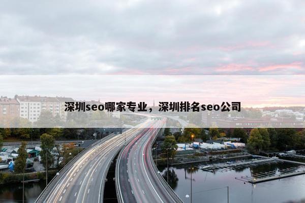 深圳seo哪家专业，深圳排名seo公司