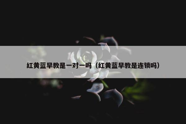 红黄蓝早教是一对一吗（红黄蓝早教是连锁吗）