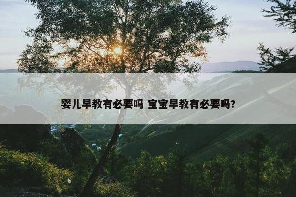 婴儿早教有必要吗 宝宝早教有必要吗?