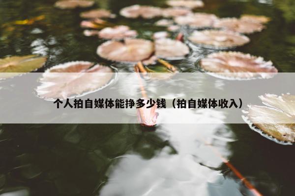 个人拍自媒体能挣多少钱（拍自媒体收入）