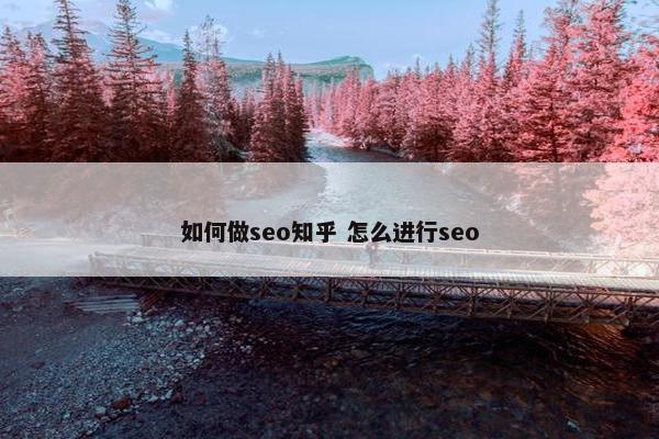 如何做seo知乎 怎么进行seo