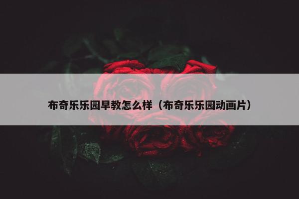 布奇乐乐园早教怎么样（布奇乐乐园动画片）