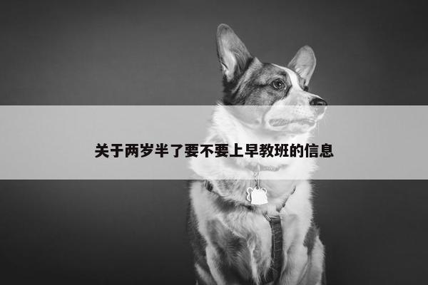 关于两岁半了要不要上早教班的信息