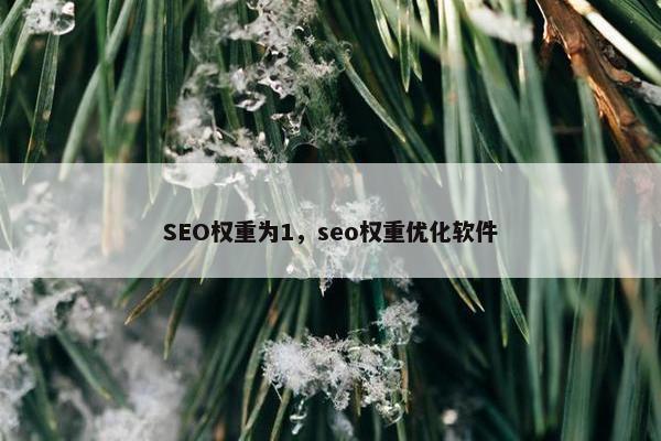 SEO权重为1，seo权重优化软件