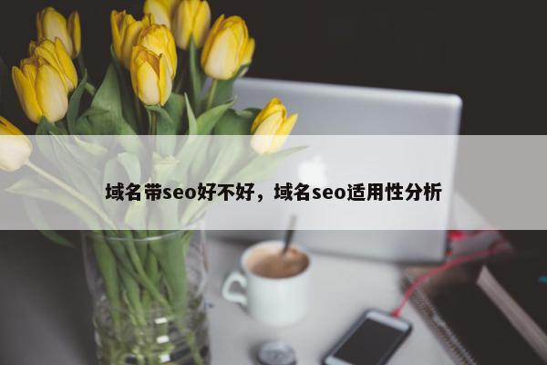 域名带seo好不好，域名seo适用性分析