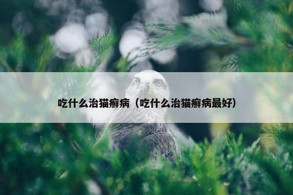 吃什么治猫癣病（吃什么治猫癣病最好）