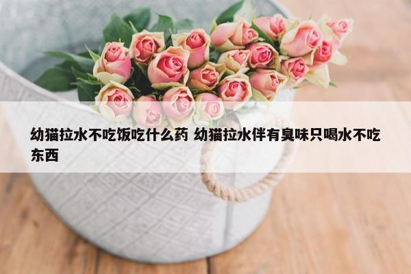 幼猫拉水不吃饭吃什么药 幼猫拉水伴有臭味只喝水不吃东西