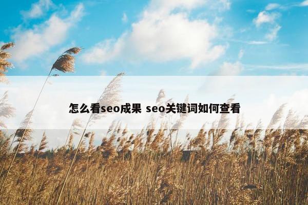 怎么看seo成果 seo关键词如何查看