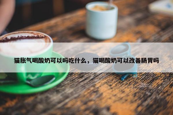 猫胀气喝酸奶可以吗吃什么，猫喝酸奶可以改善肠胃吗